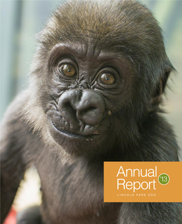 Annual Report 2013