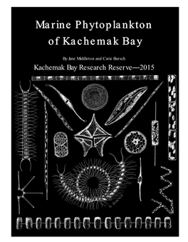 Marine Phytoplankton of Kachemak Bay