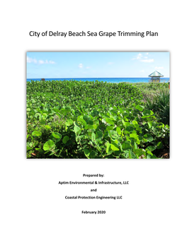 City of Delray Beach Sea Grape Trimming Plan