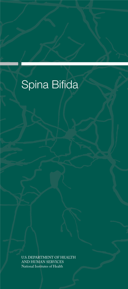 Spina Bifida