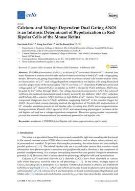 Calcium- and Voltage-Dependent Dual Gating ANO1 Is an Intrinsic Determinant of Repolarization in Rod Bipolar Cells of the Mouse Retina