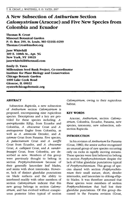 A New Subsection of Anthurium Section Calomystrium (Araceae) and Five New Species from Colombia and Ecuador