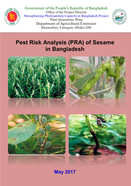 Pest Risk Analysis (PRA) of Sesame in Bangladesh