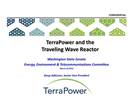 Terrapower and the Traveling Wave Reactor