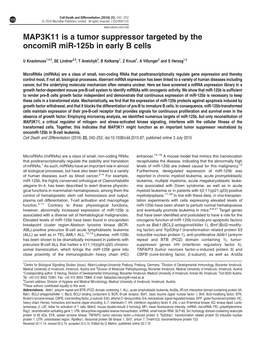 MAP3K11 Is a Tumor Suppressor Targeted by the Oncomir Mir-125B in Early B Cells