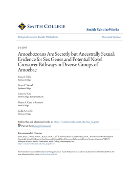 Amoebozoans Are Secretly but Ancestrally Sexual: Evidence for Sex Genes and Potential Novel Crossover Pathways in Diverse Groups of Amoebae Yonas I