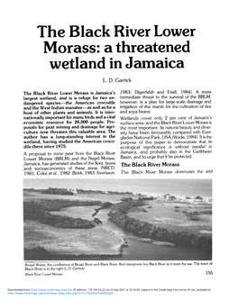 The Black River Lower Morass: a Threatened Wetland in Jamaica