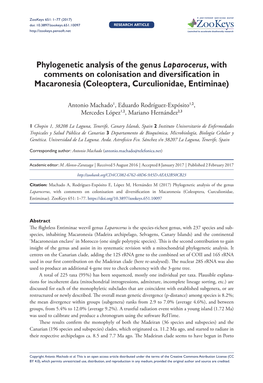 Phylogenetic Analysis of the Genus Laparocerus, with Comments on Colonisation and Diversification in Macaronesia (Coleoptera, Curculionidae, Entiminae)