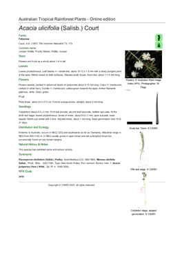 Acacia Ulicifolia (Salisb.) Court Family: Fabaceae Court, A.B