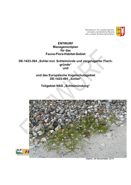 ENTWURF Managementplan Für Das Fauna-Flora-Habitat-Gebiet DE