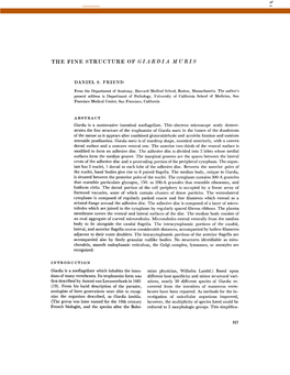 The Fine Structure of Giardia Muris