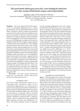 The Jewel Beetle (Hylaeogena Jureceki): a New Biological Control for Cat’S Claw Creeper (Dolichandra Unguis-Cati) in Queensland