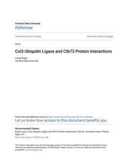 Cul3 Ubiquitin Ligase and Ctb73 Protein Interactions