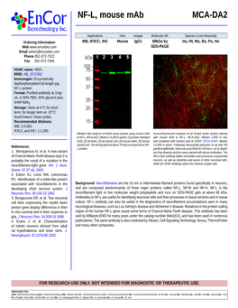 NF-L, Mouse Mab MCA-DA2