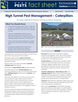 High Tunnel Pest Management - Caterpillars