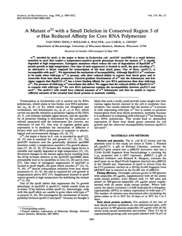 O* Has Reduced Affinity for Core RNA Polymerase YAN NING ZHOU,T WILLIAM A