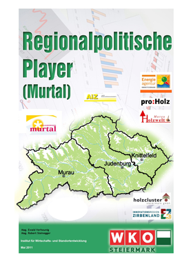 Regionalpolitische Player Modellregion Murtal