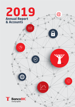 Annual Report & Accounts