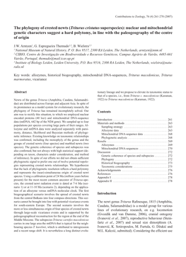 The Phylogeny of Crested Newts (Triturus Cristatus Superspecies)