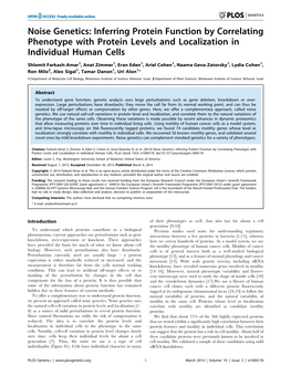 Noise Genetics: Inferring Protein Function by Correlating Phenotype with Protein Levels and Localization in Individual Human Cells