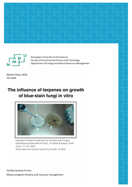 The Influence of Terpenes on Growth of Blue-Stain Fungi in Vitro