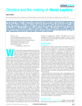 Genetics and the Making of Homo Sapiens