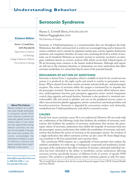 Serotonin Syndrome