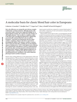 A Molecular Basis for Classic Blond Hair Color in Europeans