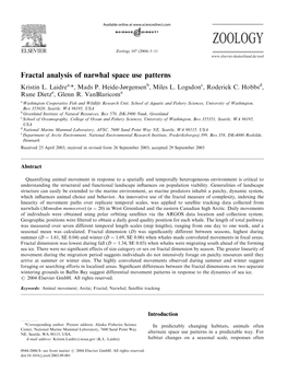 Fractal Analysis of Narwhal Space Use Patterns