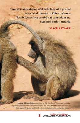 Clinical Manifestation and Aetiology of a Genital Associated Disease in Olive Baboons (Papio Hamadryas Anubis) at Lake Manyara National Park