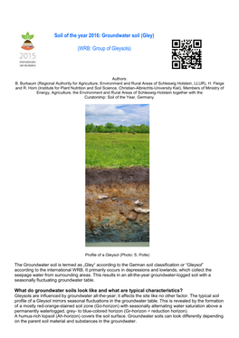 Groundwater Soil (Gley)