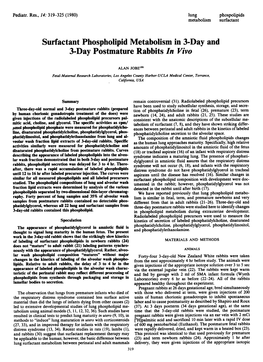 Surfactant Phospholipid Metabolism in 3-Day and 3-Day Postmature Rabbits in Vivo