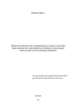 Ernesto Succi Desenvolvimento De Um Programa De Apoio À Decisão