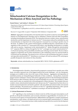 Mitochondrial Calcium Deregulation in the Mechanism of Beta-Amyloid and Tau Pathology