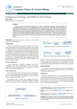 Compression of Image with Different File Formats Abdul Jabbar* Bahauddin Zakariya University, Multan, Pakistan