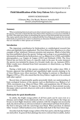 Field Identification of the Grey Falcon Falco Hypoleucos