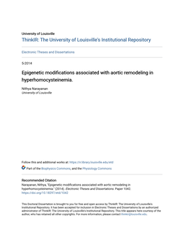 Epigenetic Modifications Associated with Aortic Remodeling in Hyperhomocysteinemia