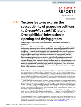 Texture Features Explain the Susceptibility of Grapevine Cultivars