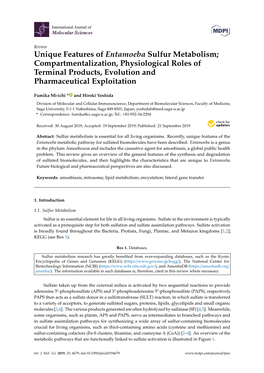 Unique Features of Entamoeba Sulfur Metabolism; Compartmentalization, Physiological Roles of Terminal Products, Evolution and Pharmaceutical Exploitation