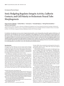 Sonic Hedgehog Regulates Integrin Activity, Cadherin Contacts, and Cell Polarity to Orchestrate Neural Tube Morphogenesis