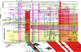 Protest Contingencies Timeline.Pdf