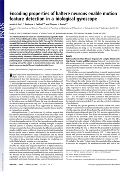 Encoding Properties of Haltere Neurons Enable Motion Feature Detection in a Biological Gyroscope