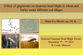 F. Graminearum Inoculum Production Under Three Different Soil Tillages: Mouldboard Plow, Spring Tillage and Direct Drilling Material and Methods