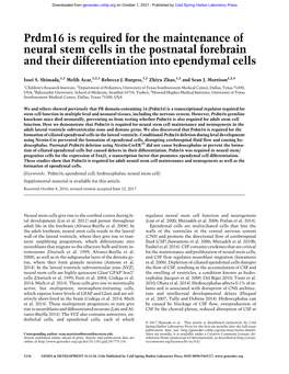 Prdm16 Is Required for the Maintenance of Neural Stem Cells in the Postnatal Forebrain and Their Differentiation Into Ependymal Cells