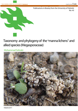 Taxonomy and Phylogeny of the Manna Lichens and Allied