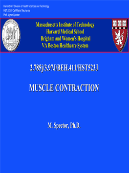 Muscle Contractioncontraction