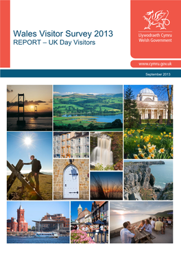 Wales Visitor Survey 2013