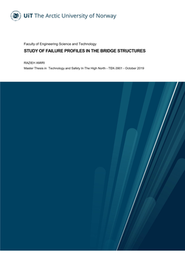 Study of Failure Profiles in the Bridge Structures