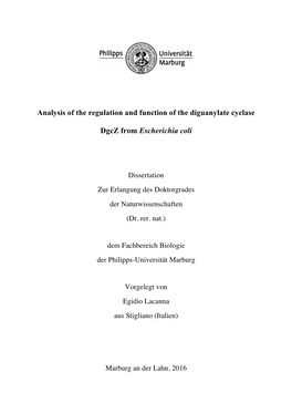 Analysis of the Regulation and Function of the Diguanylate Cyclase Dgcz