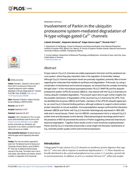 Involvement of Parkin in the Ubiquitin Proteasome System-Mediated Degradation of N-Type Voltage-Gated Ca2+ Channels